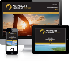 Website for Anishnawbe Business Professional Association